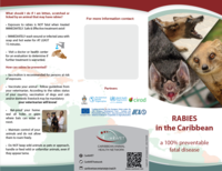 Rabies_leaflet