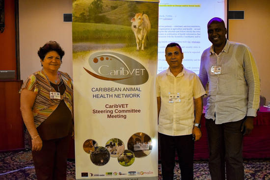 the-cuban-delegation-will-host-the-14th-caribvet-steering-committee-meeting-in-may-2019-c-p.-hammami-cirad-caribvet_imagelarge.jpg