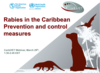 Webinar Rabies in the Caribbean, prevention & control measures