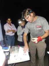 Dr. Luke Rostant explains how to morphologically identify a bat to participants