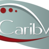 caribvet_carrecentral.png