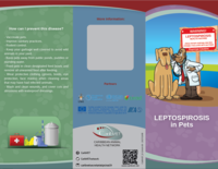 Tri-fold brochure adressed to Pets owners